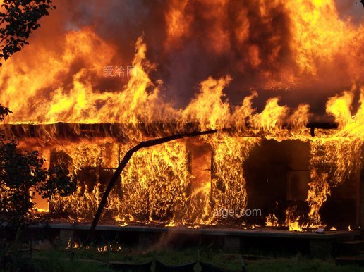 firefight苹果版下载firefight俄乌战争下载-第2张图片-太平洋在线下载