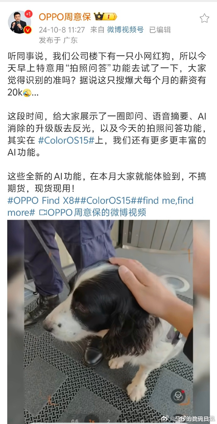 狗狗语言软件苹果版能让狗狗听懂人话的软件