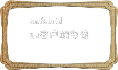 safebridge客户端安装safeconnect电脑端下载