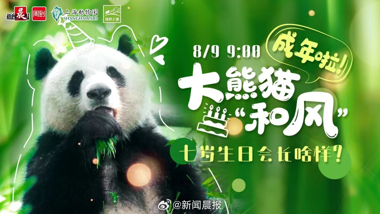 熊猫tv下载苹果版熊猫5508官网下载