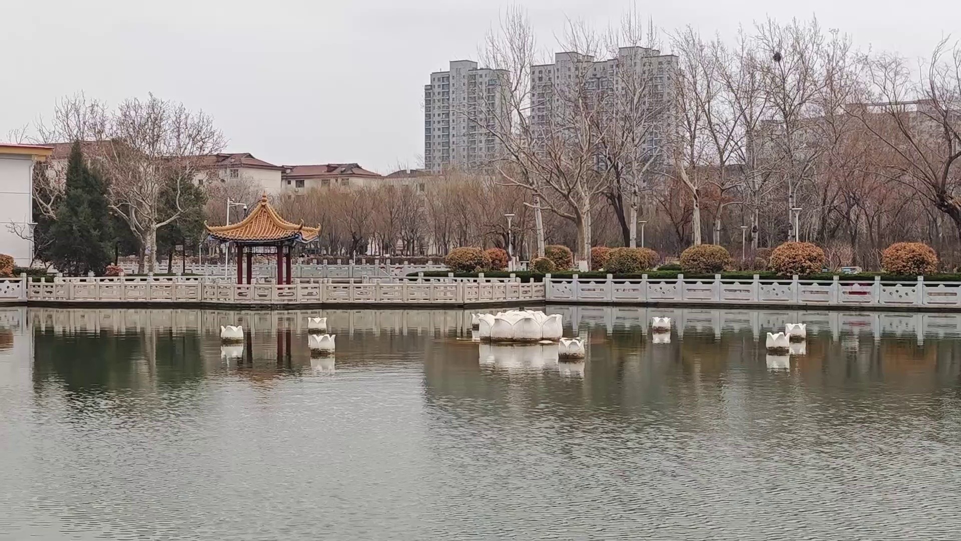 包含德城新闻客户端的词条