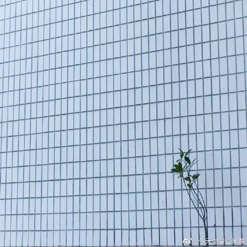 客户端失焦客户端是app的意思吗